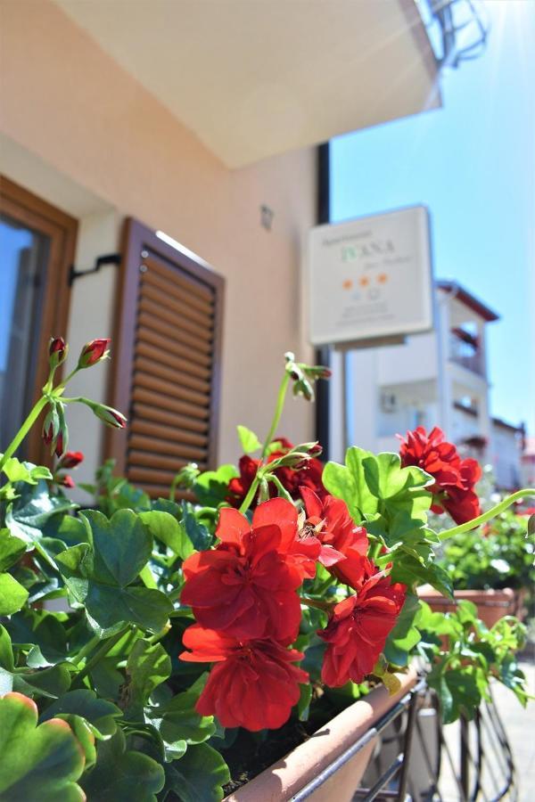 Apartments & Rooms Ivana Rovinj Værelse billede