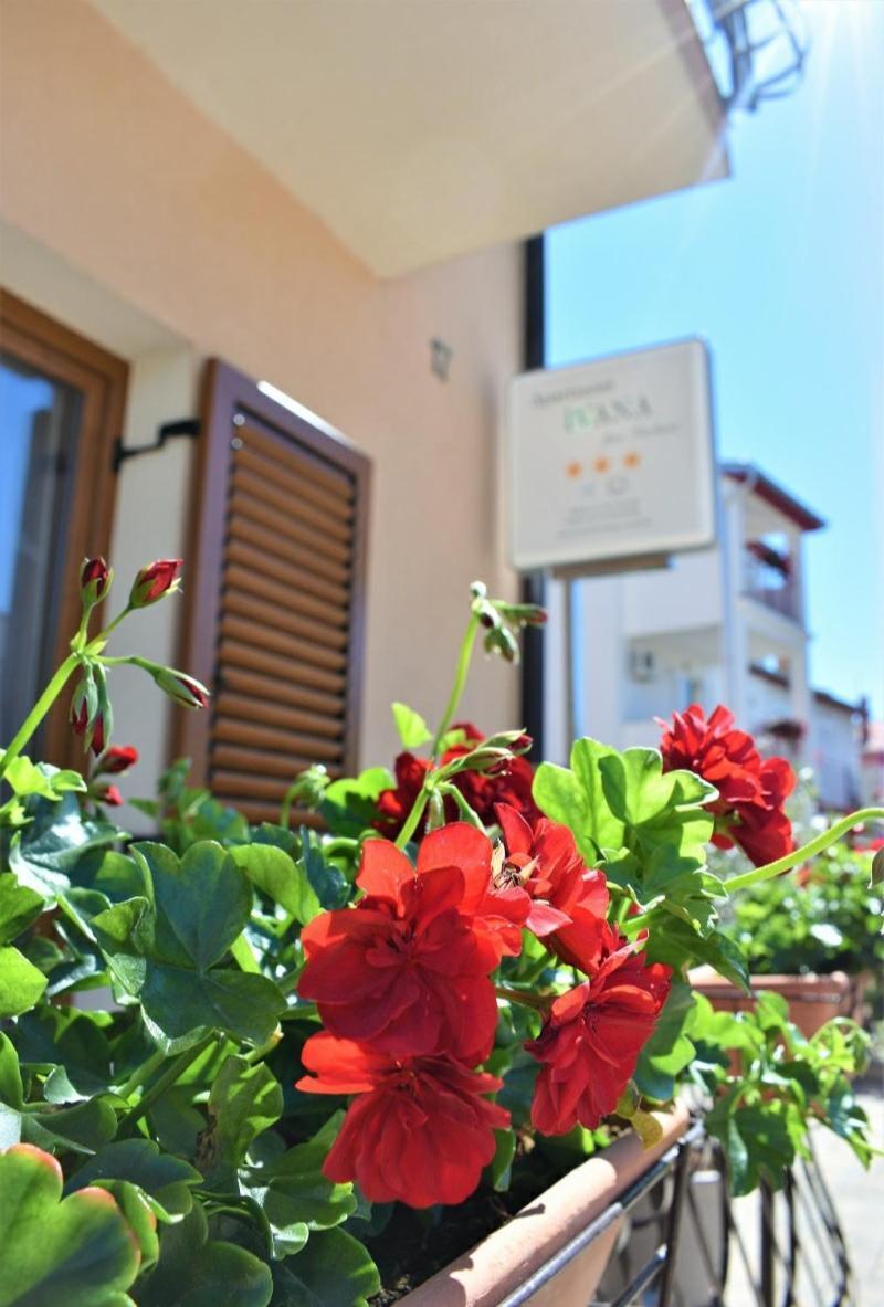 Apartments & Rooms Ivana Rovinj Værelse billede
